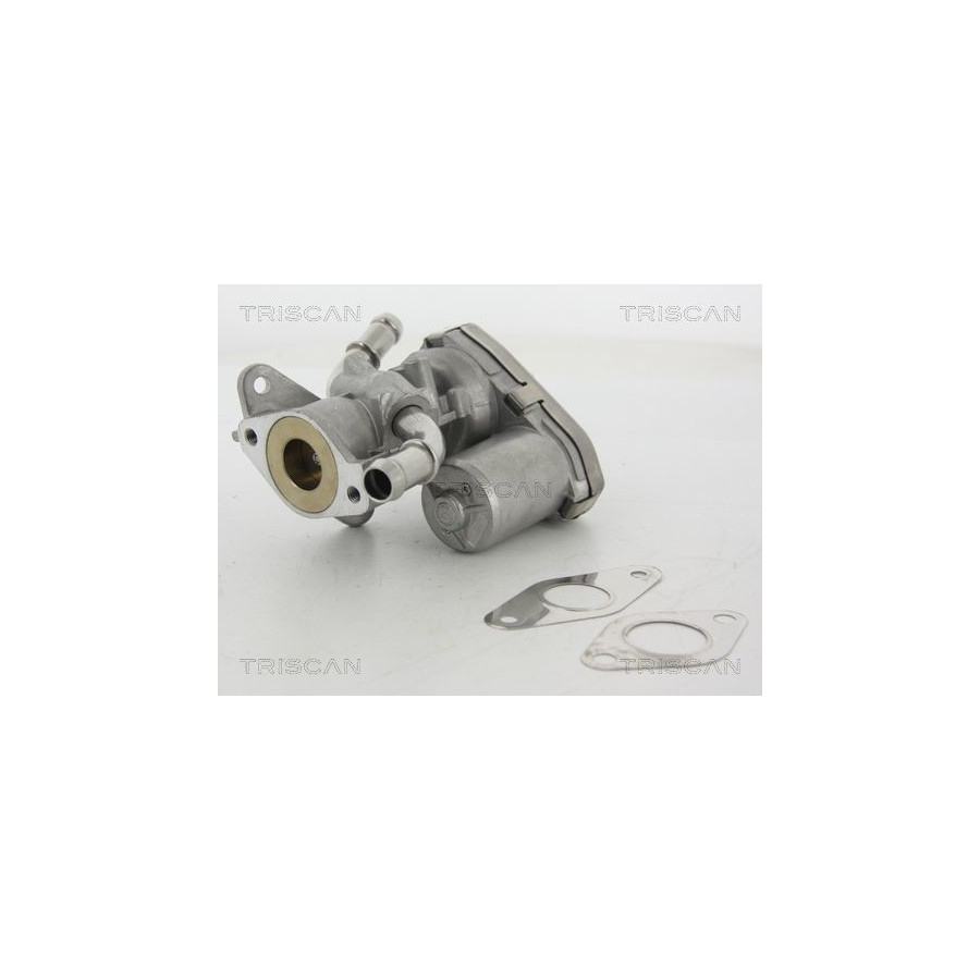 EGR Valve Winparts Eu EGR Valve