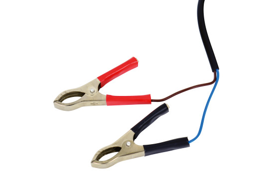 Pompe à siphon Carpoint mini 12V, Image 4
