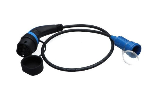Adaptateur V2L