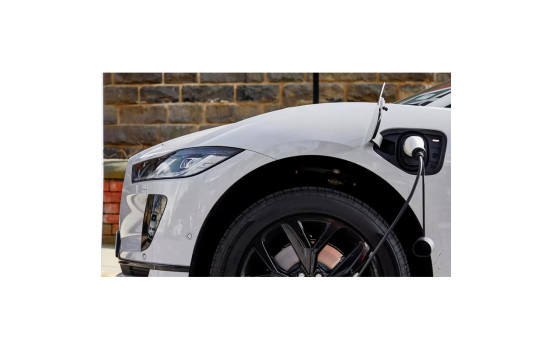 Câble de recharge pour véhicules électriques Osram BATTERYcharge 7 broches Type 2>2 16 A triphasé (5 m), Image 8