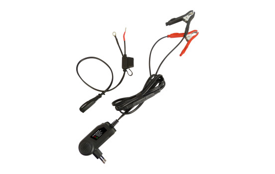 Chargeur d'entretien 12V