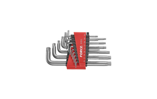 Jeu de clés Force Long Resistorx 15 pièces