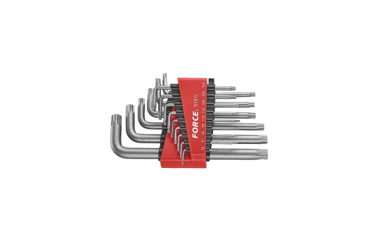 Jeu de clés Force Long Resistorx 15 pièces, Image 2