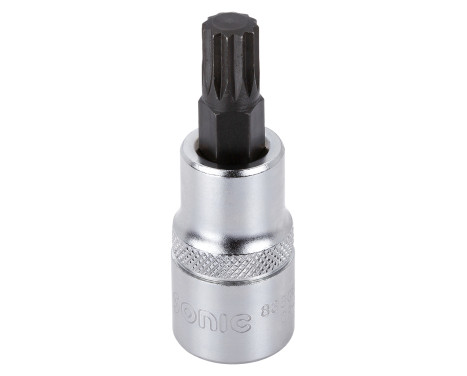 Bitdop 1/2 ", multi-dents M10