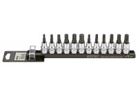 Bitdopset 3/8 ", multi-dent & Ribe 12 pièces sur rail