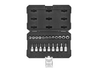 Jeu de douilles 3/8" Torx 21 pièces