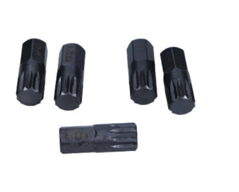 Rooks Bit 10 mm (3/8") Plusieurs dents M12 x 30 mm, 5 pièces