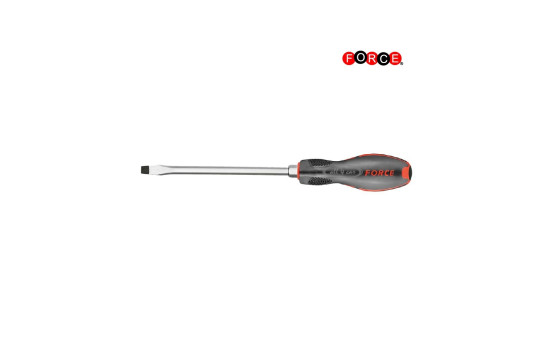 Tournevis Force plat 10 mm