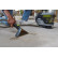 Nettoyeur de taches sans fil Ryobi ONE+™ 18 V sans balais Swift Clean (sans batterie) RDC18BL-0, Vignette 9
