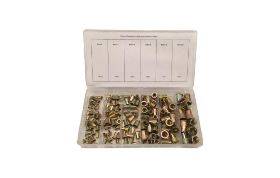 Assortiment d'écrous à rivets aveugles en acier 150 pièces