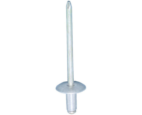 Rivet aveugle OEM: 164360 - 5 pièces