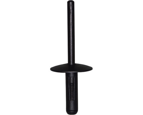 Rivet aveugle OEM: 5171700295 - 51777171004 - 5 pièces