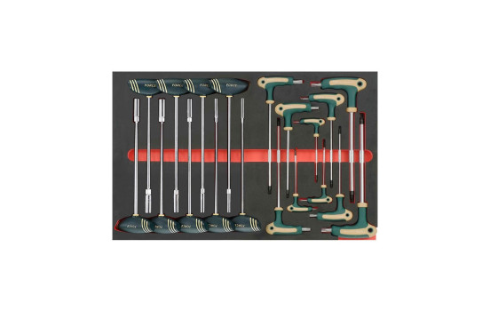 Torx 19 pièces avec clé à trou et jeu de clés Torx avec poignée en T (EVA)