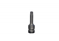 Steiner 1/2 Prise de courant Torx 60