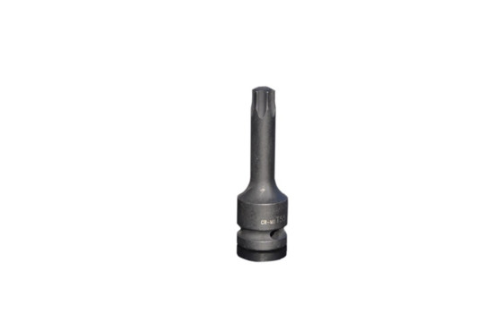 Steiner 1/2 Prise de courant Torx 60