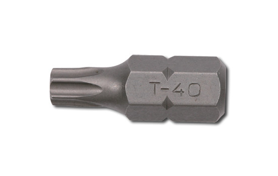 Embout 10mm, 30mmL T20