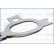 Packning, avgasgrenrör MULTILAYER STEEL, miniatyr 4