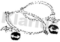 Röranslutning, avgassystem