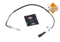 Sensor, avgastemperatur