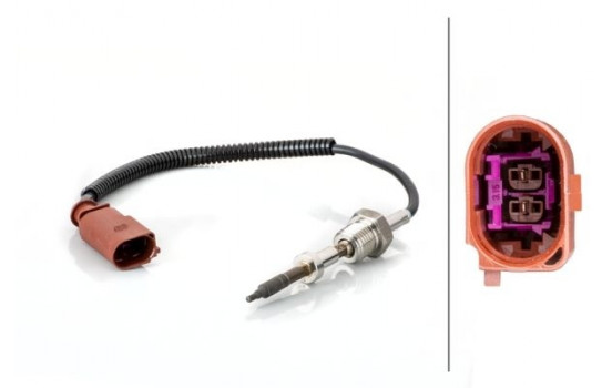 Sensor, avgastemperatur