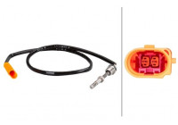 Sensor, avgastemperatur