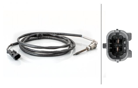 Sensor, avgastemperatur