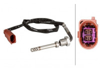 Sensor, avgastemperatur