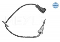 Sensor, avgastemperatur