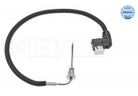 Sensor, avgastemperatur