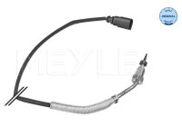 Sensor, avgastemperatur