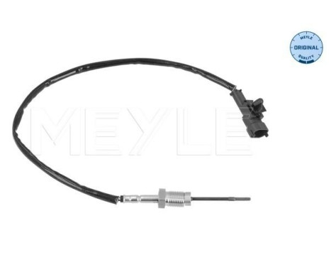 Sensor, avgastemperatur