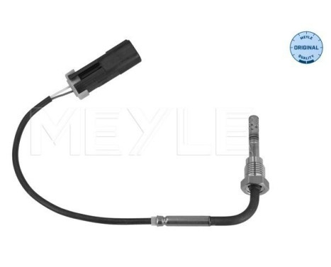 Sensor, avgastemperatur