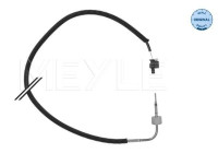 Sensor, avgastemperatur