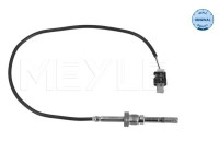 Sensor, avgastemperatur