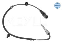 Sensor, avgastemperatur