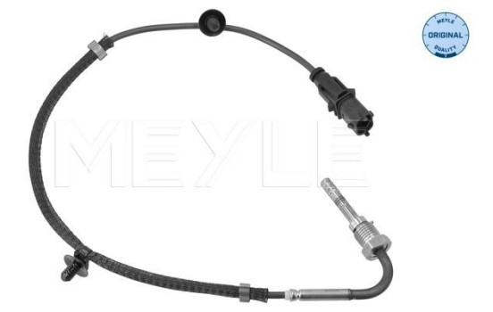 Sensor, avgastemperatur