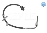Sensor, avgastemperatur