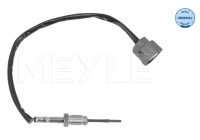 Sensor, avgastemperatur