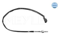 Sensor, avgastemperatur