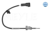 Sensor, avgastemperatur
