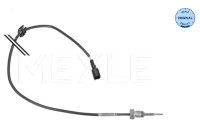 Sensor, avgastemperatur