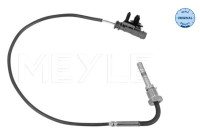 Sensor, avgastemperatur