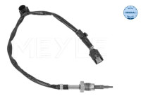 Sensor, avgastemperatur