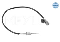 Sensor, avgastemperatur