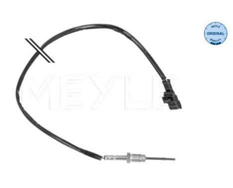 Sensor, avgastemperatur