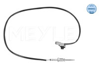 Sensor, avgastemperatur