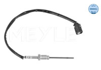 Sensor, avgastemperatur