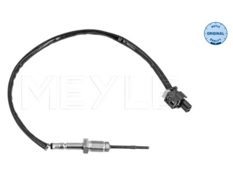 Sensor, avgastemperatur