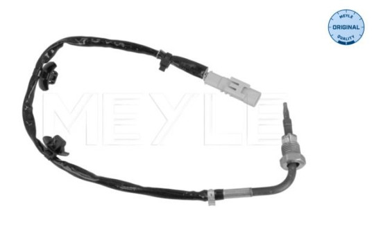 Sensor, avgastemperatur