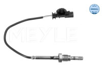 Sensor, avgastemperatur